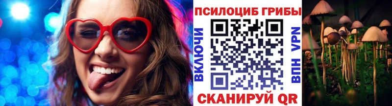 Псилоцибиновые грибы Cubensis Аксай
