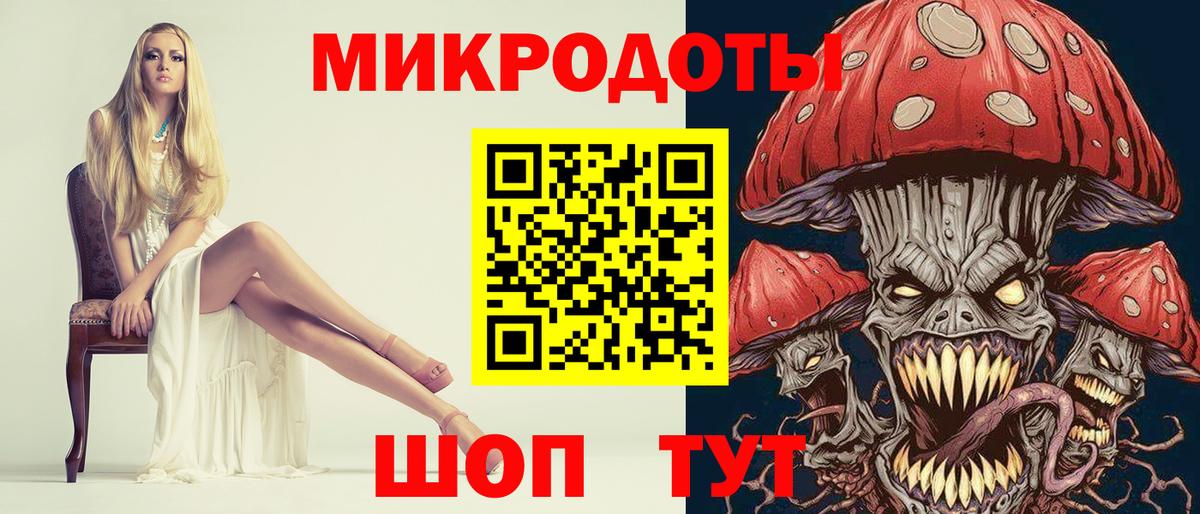 Псилоцибиновые грибы Psilocybe Аксай